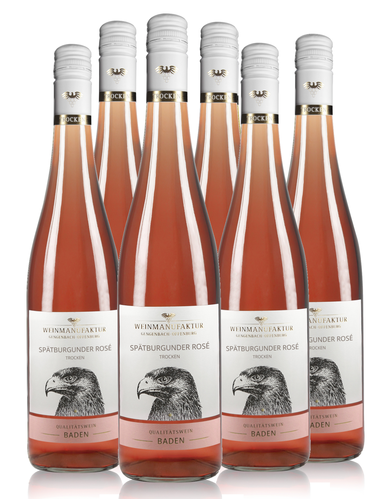 Spätburgunder Rosé Kartonaktion