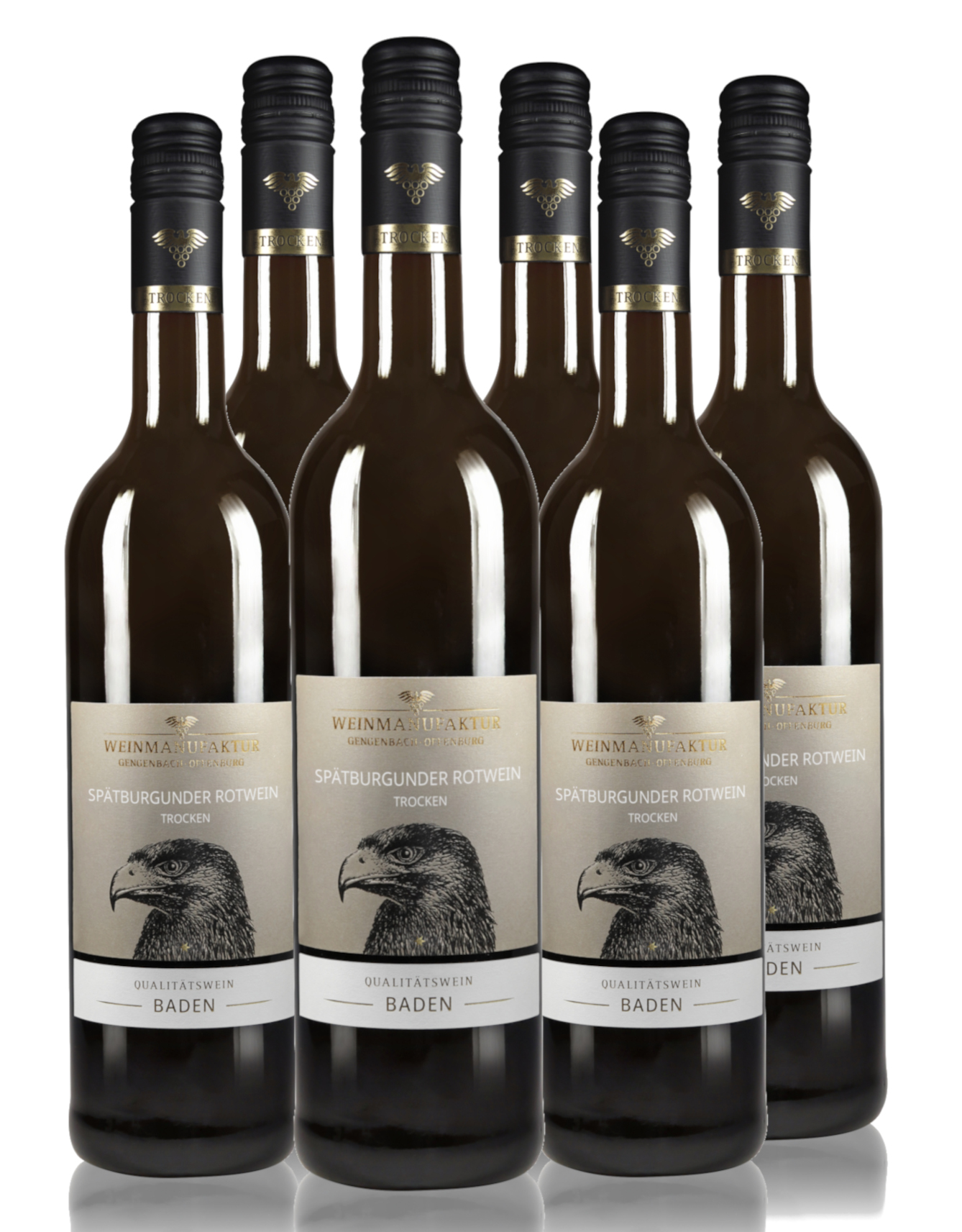 Spätburgunder Rotwein Kartonaktion