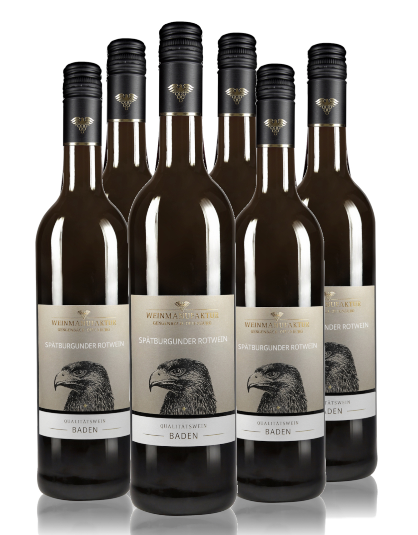 Spätburgunder Rotwein Kartonaktion