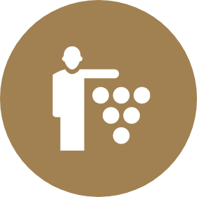 Alle Weine Direkt vom Erzeuger